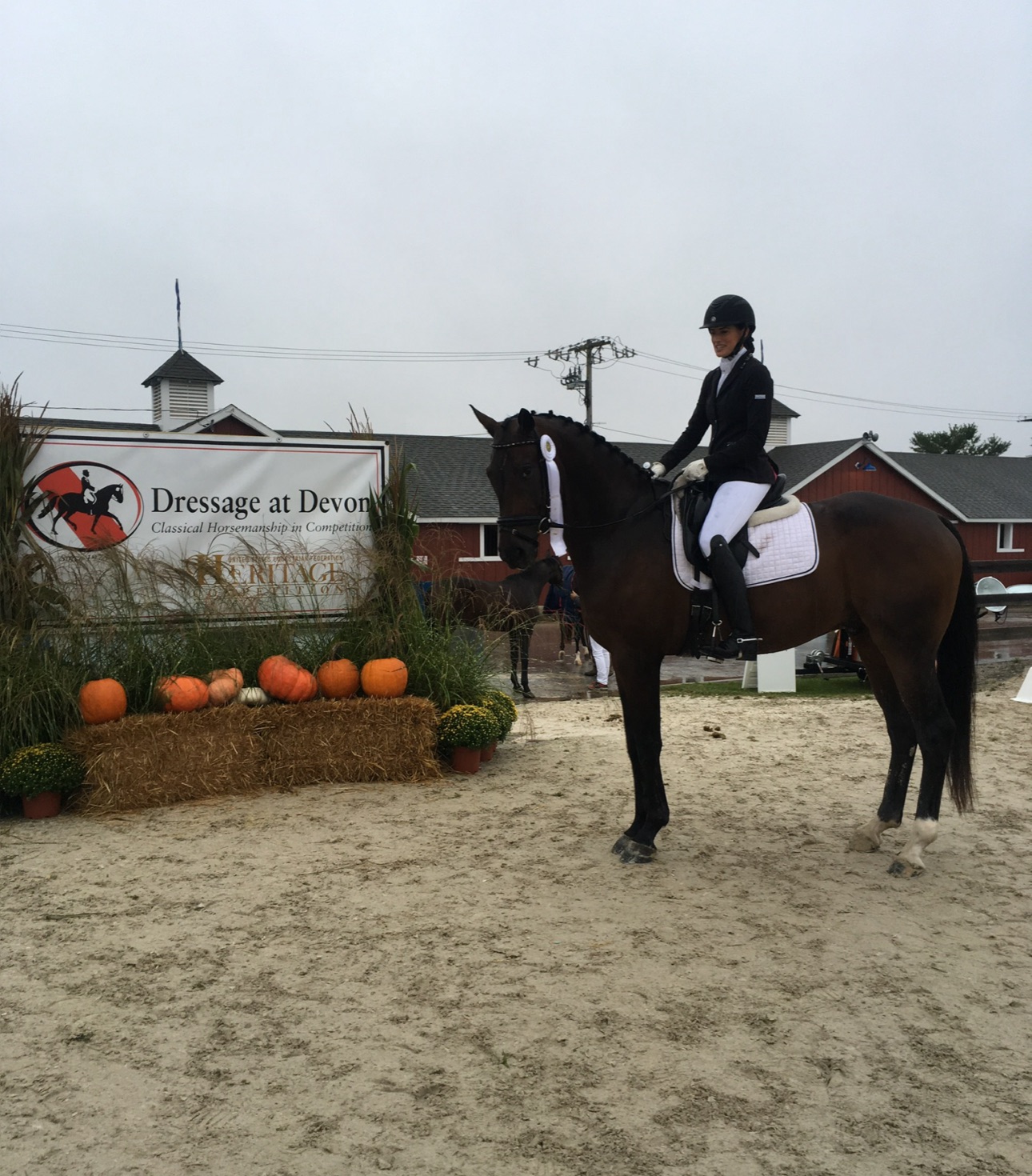 Frank the horse with rider on his back